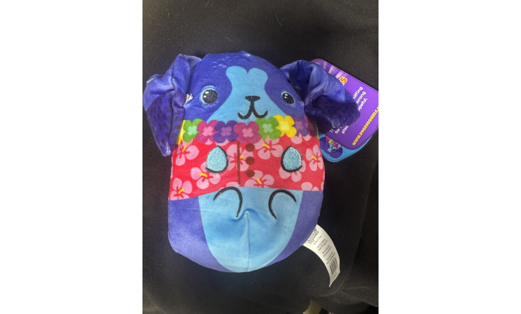 CATS VS PICKLE 6" BEANIE PLUSH-20ct Case - $0.70ea
