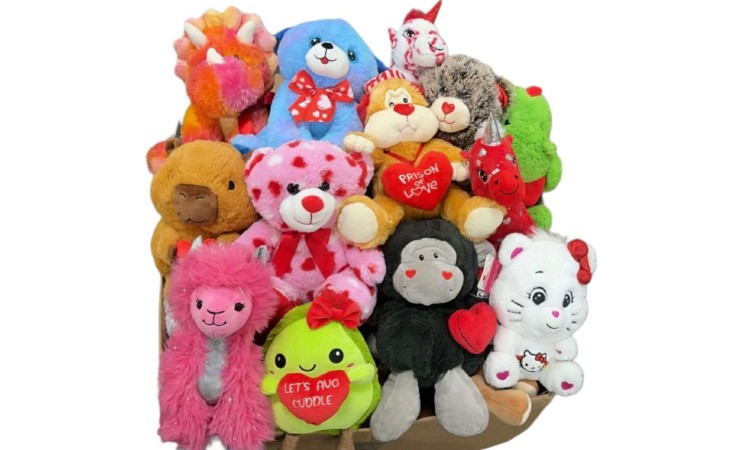 9-14" VALENTINE'S PLUSH-70ct Case - $3.01ea