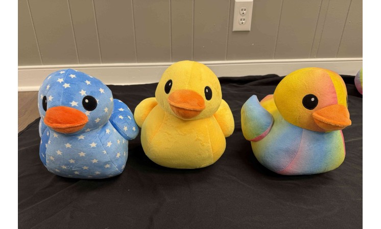 10" PLUSH DUCK - $9.25 ea - 24 CT