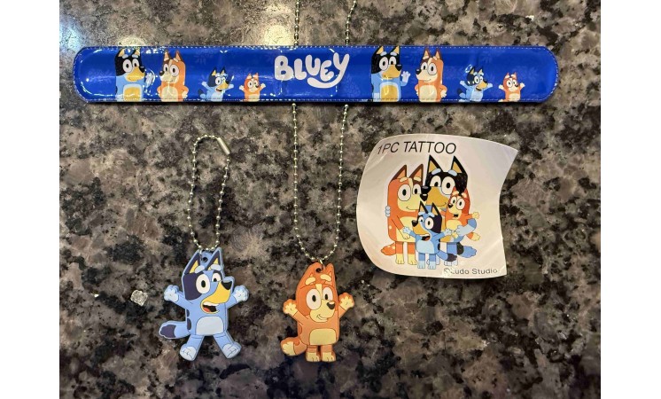 3" Bluey Activity Capsules -144ct - $1.94 ea